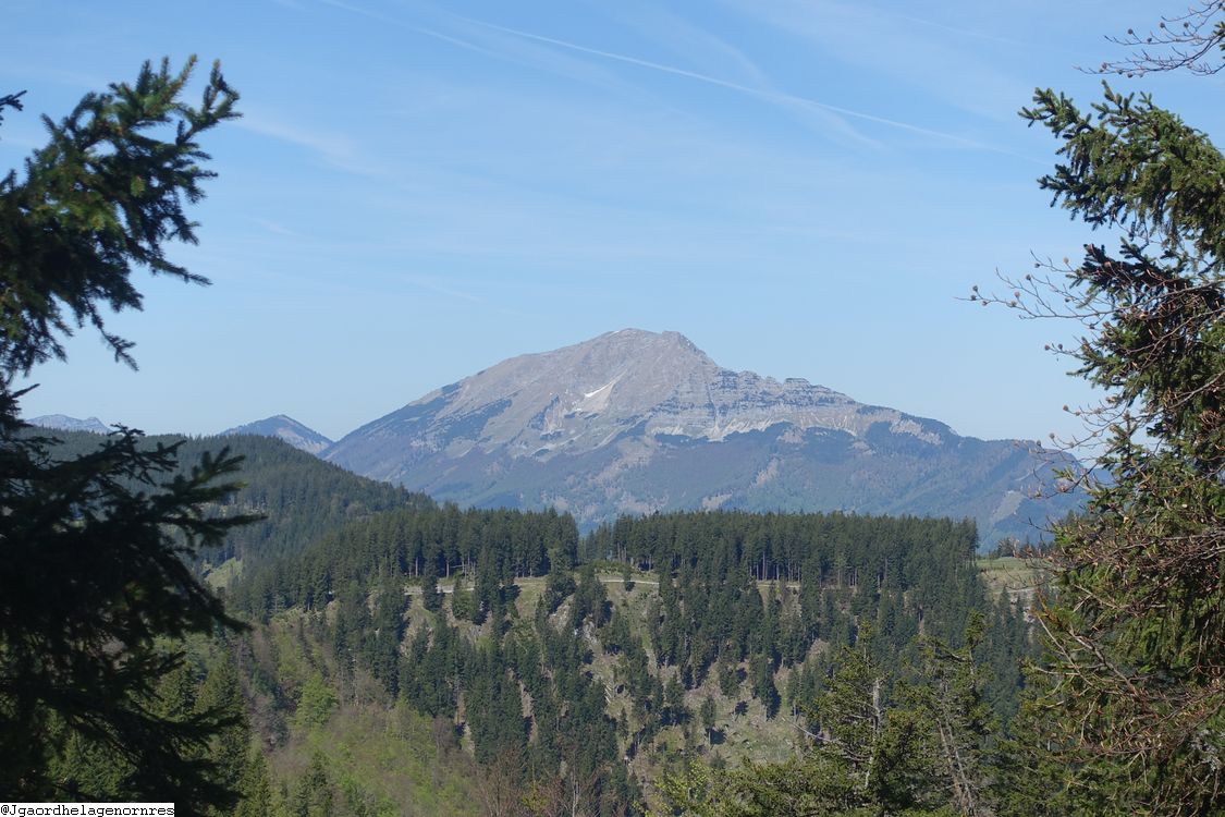 Ötscher vom Großen Sulzberg